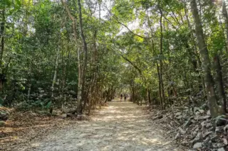 Privattour Coba Express in der Riviera Maya